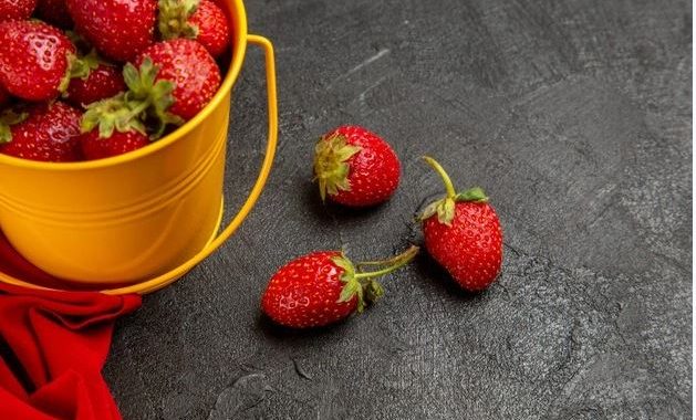 Best Gift Ideas for This Holiday Season!